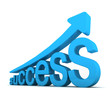 success