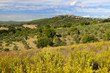 rural landscape in toscana