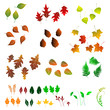 Leaf, collection for designers Leaf, collection for designers