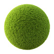 ball