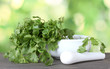 Coriander in a mortar and pestle on green background