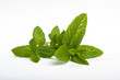 Menthe Detail