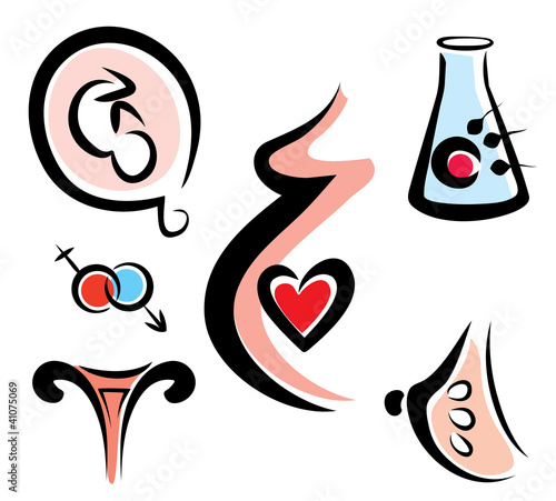 Vector: set of female and prenatal related medical icons set of female and prenatal related medical icons
