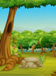 woods