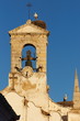 Störche in Faro, Portugal