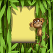 monkey