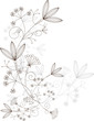 Vector grasses design elements, grassy ornament