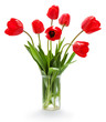 Photo en ligne au meilleur prix Bouquet of tulips on a white background.