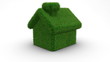 house grass loop