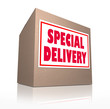 Special Delivery Mailed Cardboard Box Shipment