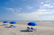 Row of Beach Chairs with Blue Umbrellas Row of Beach Chairs with Blue Umbrellas