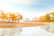 Orange trees near tranquil river at morning