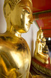 row of buddhas statue in Thailand (shallow dept of field) row of buddhas statue in Thailand (shallow dept of field)