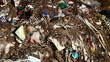 Urban illegal dump
