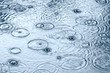Raindrops