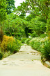 pathway to the garden