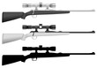 Vector: rifle with sight rifle with sight
