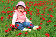 Photo: Concept Photo - Flowers and Spring Time Concept Photo - Flowers and Spring Time