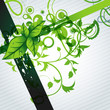 vector leaf vector leaf