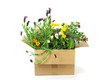Blumenversandt