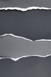 Ripped paper