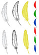 feathers