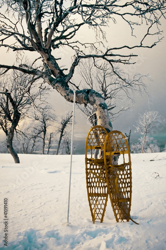 Photo: Wooden snowshoes leaning against a Birch tree Wooden snowshoes leaning against a Birch tree
