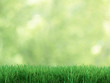Fresh grass