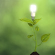 canvas print picture - Growing green energy