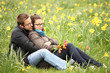 daffodils