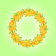 sappy sea-buckthorn berries card sappy sea-buckthorn berries card