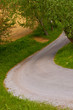 The winding road The winding road