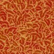 leaf pattern