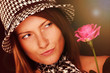 Pink rose