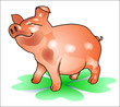 little, lucky pig on lucky clover little, lucky pig on lucky clover