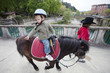 enfant faisant du poney