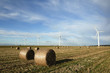Wind Turbine