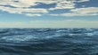 Video: sea flight sea flight