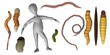 3d render of cartoon character with worm 3d render of cartoon character with worm