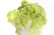 Chinese Leaf