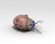 cabeza de androide