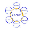 Diagram of career success