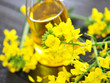 Rapsöl, Blüten