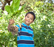Boy Gardening and Holding Mustard Greens