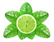 Lime fruit on green leaf with dew Lime fruit on green leaf with dew