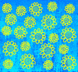 Yellow flowers on blue background Yellow flowers on blue background