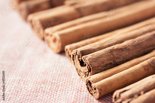 Photo: cinnamon sticks cinnamon sticks
