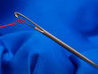 Needle