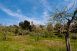 Pieve Santo Stefano - Lucca