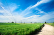 energy and high voltage powerline